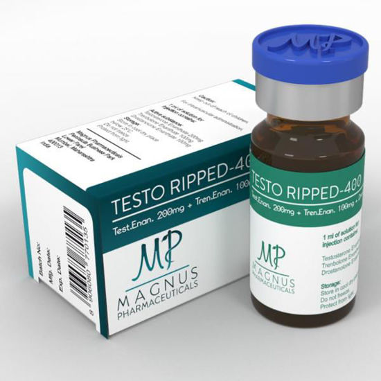 Testo Ripped 400